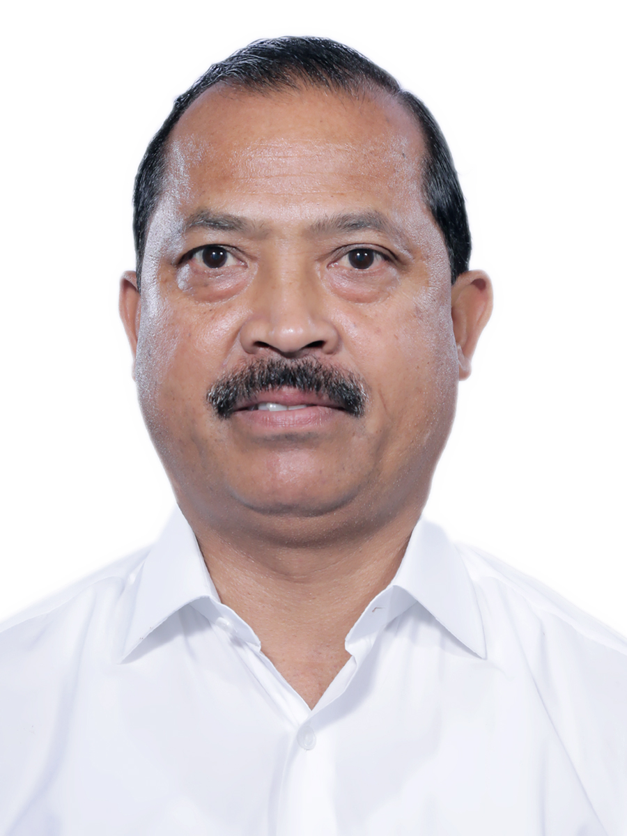 Vincent H. Pala