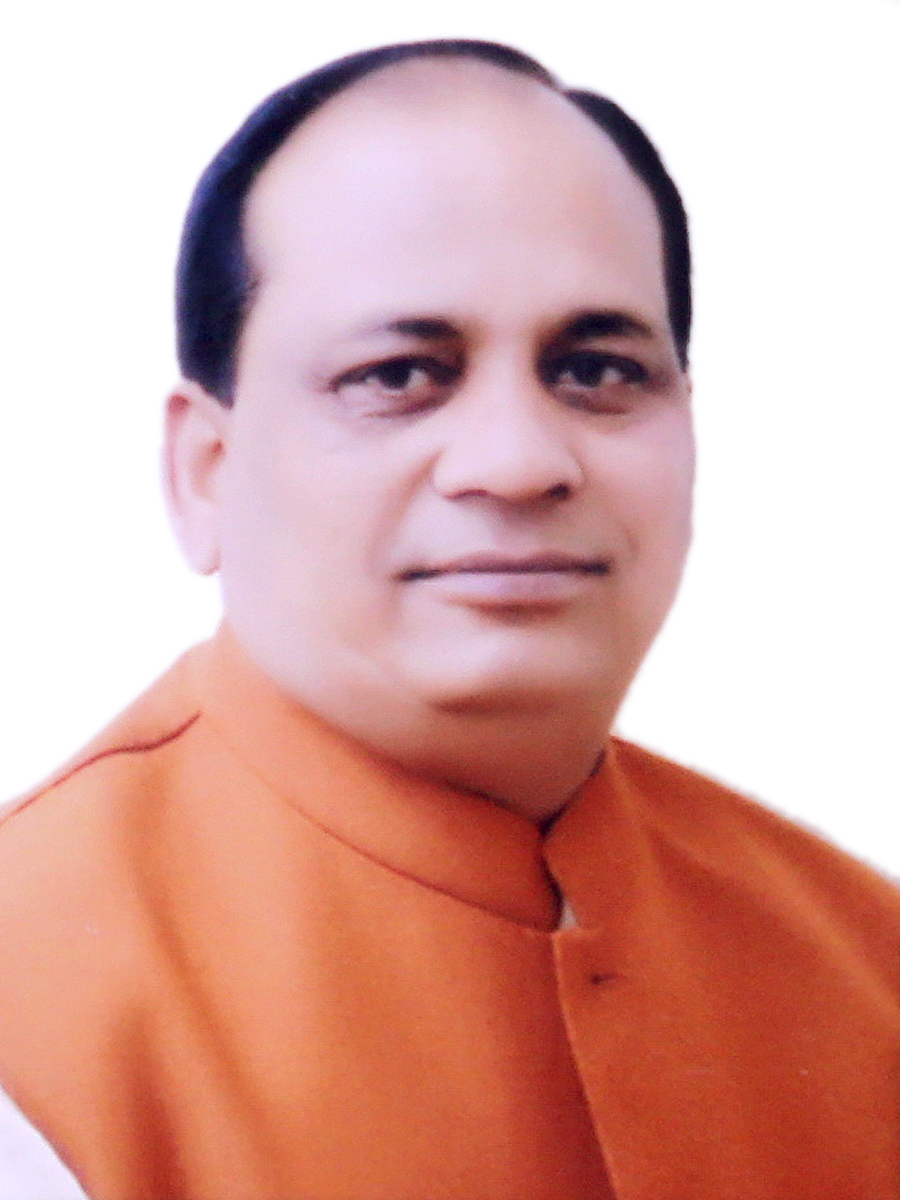Rajveer (Raju Bhaiya) Singh