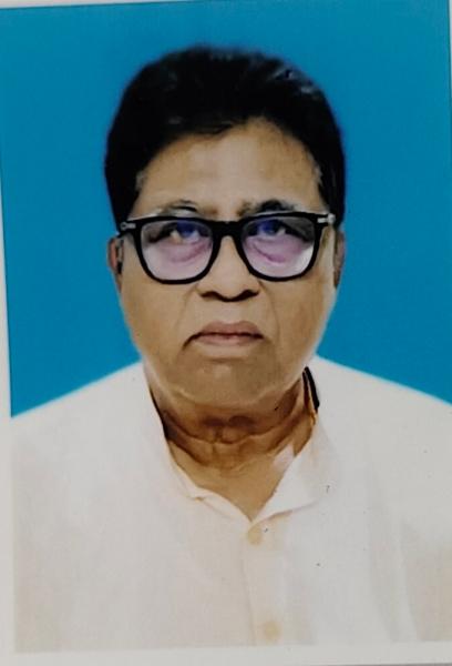 Parthasarathi Chatterjee