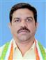 Vikram Mandavi